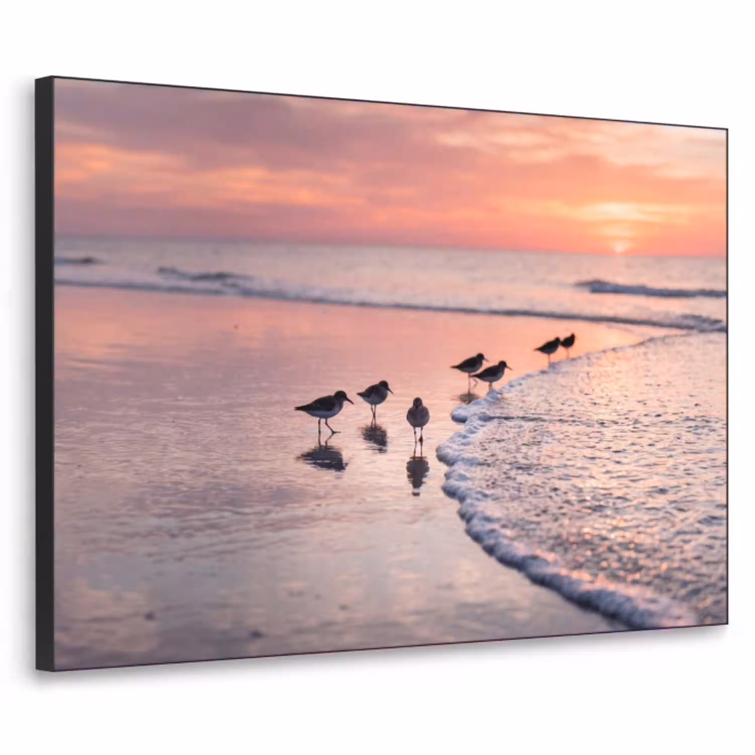 Meeuwen - Strand - Zee - Roze Textielframe zwart klein -3d
