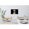 Kok - Rood - Kip Muursticker klein -eettafel