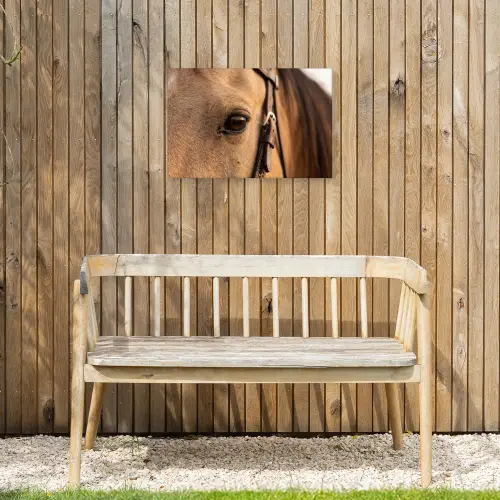 Paard - Oog - Bruin Tuinposter op houten frame 2 cm dik klein -sfeer4