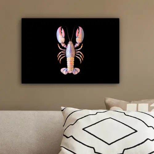 Kreeft - Roze - Zacht - Zwart canvas 2cm klein -sfeer3