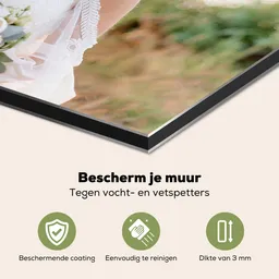 spat-specs2-nederlands.png