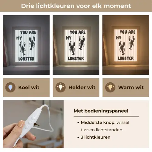Lobster - Beige - Minimalistisch Light Box met kabel (Wandlamp) klein -USP_lichtkleurNL