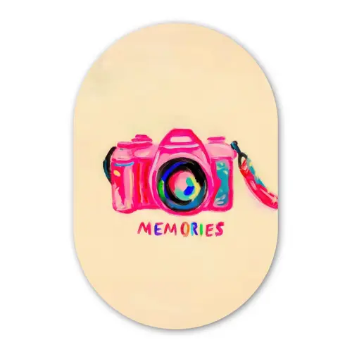 Camera - Memories - Roze - Geschilderd Wandcirkel Ovaal Forex klein -3d