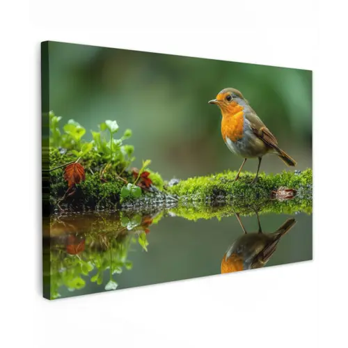 Roodborstje bij het Water Tuinposter op houten frame 2 cm dik klein -3d