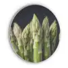 Asperges - Groen - Zwart Akoestische PET Vilt - Rond klein -3d