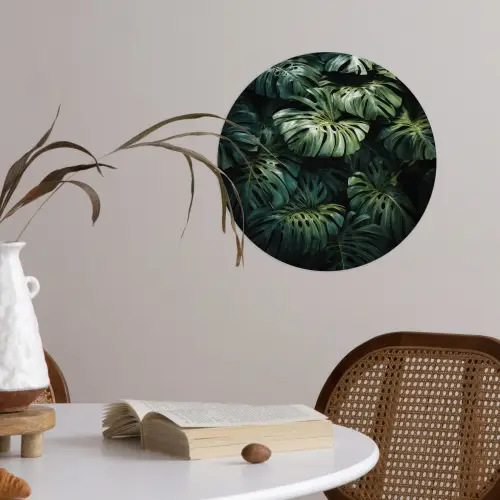 Plant - Monstera - Lichtinval Wandcirkel behangsticker klein -sfeer3