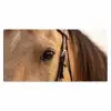 Paard - Oog - Bruin Muismat XXL klein -3d_leeg