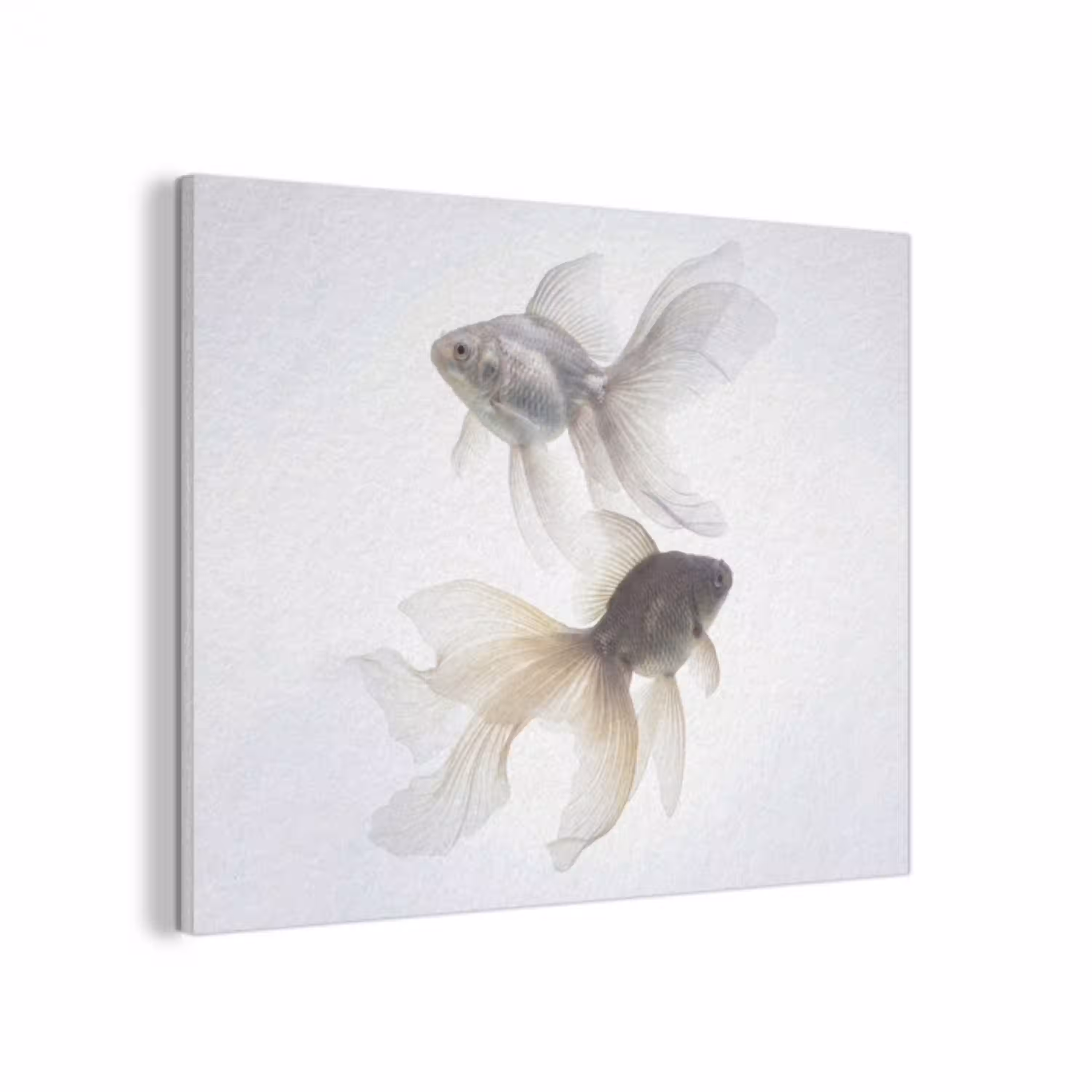 Goudvissen - Modern - Wit PET vilt klein -3d