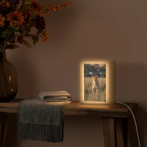 Leeuwin - Gras - Geel Light Box met kabel (Tafellamp) klein -sfeer4