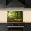 Zon - Bos - Bomen - Natuur - Herfst keuken achterwand spatscherm klein -sfeer1