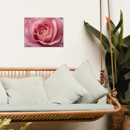 Roze - Roos - Romantisch tuinposter los doek klein -sfeer7