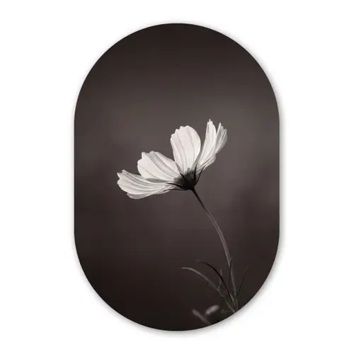 Bloem - Minimalistisch - Zwart - Wit Wandcirkel Ovaal Forex klein -3d