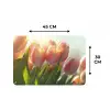 Tulpen - Roze - Zonnestralen Placemat vinyl groot -specs