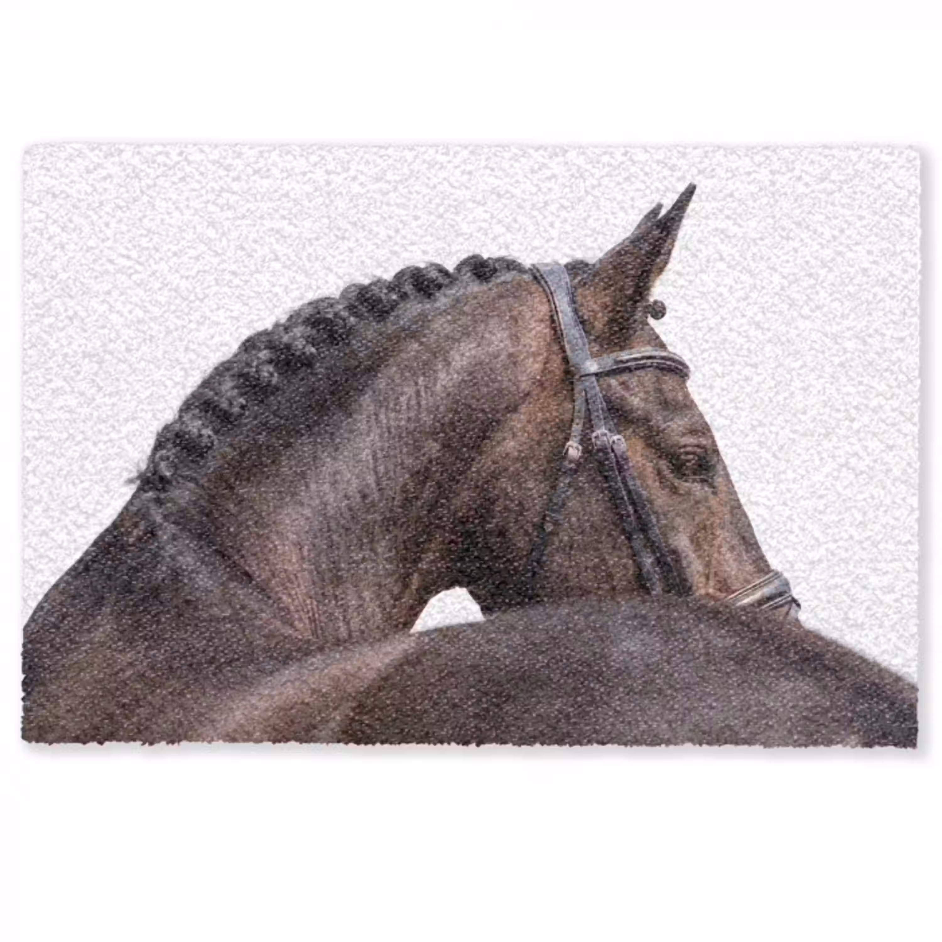 Portret - Paard - Elegant Deurmat klein -zkaufland3d