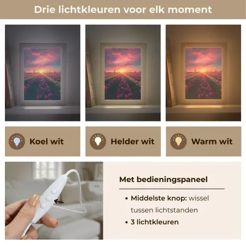 Windmolen - Zonsondergang - Landschap Light Box met kabel (Tafellamp) klein -USP_lichtkleurNL