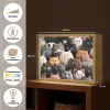 Kat - Dieren - Poes - Patroon - Jongen - Meisje Light Box met batterij (Wandlamp kind) middel -USP_websiteoverzichtNL