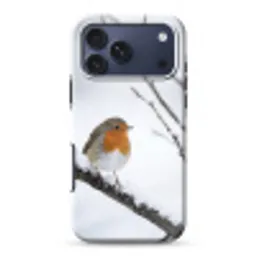 Roodborstje - Tak - Sneeuw - Winter - Levendig Toughcase MagSafe Apple iPhone 17 Pro Max klein -3d