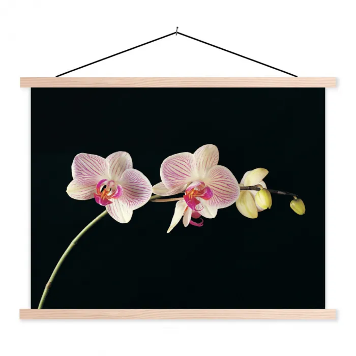 Orchidee - Bloemen - Zwart - Roze - Knoppen textielposter latten blank klein -3d