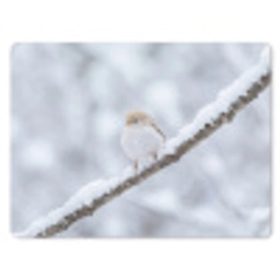 Vogeltje - Sneeuw - Tak - Winter - Zacht muismat rubber klein -3d