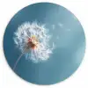 Paardenbloem - Wind - Blauw Wandcirkel kunststof plaat 5mm dik klein -3d