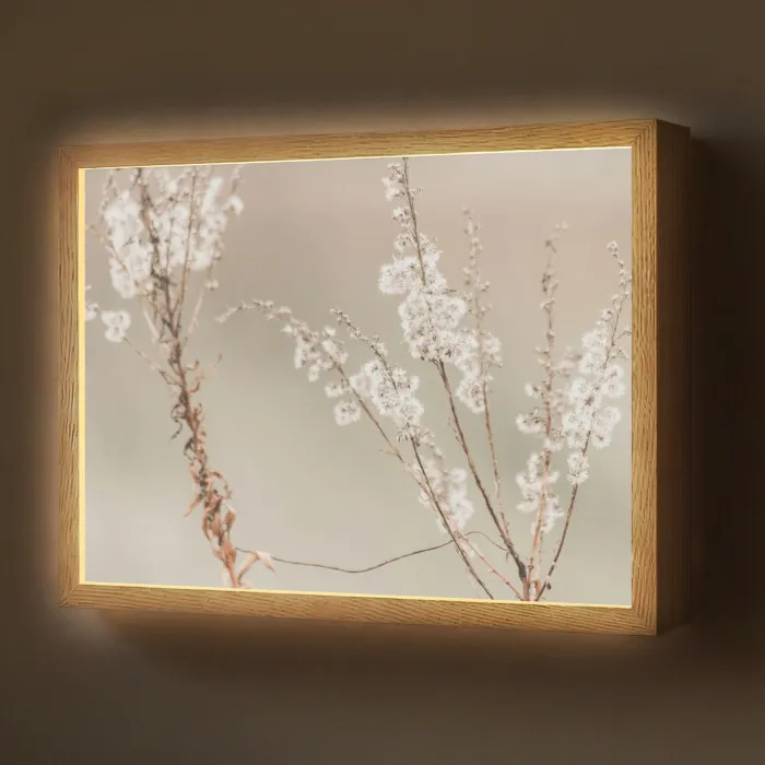 Bloemen - Wit - Planten Light Box met batterij (Wandlamp) middel -z3d_website
