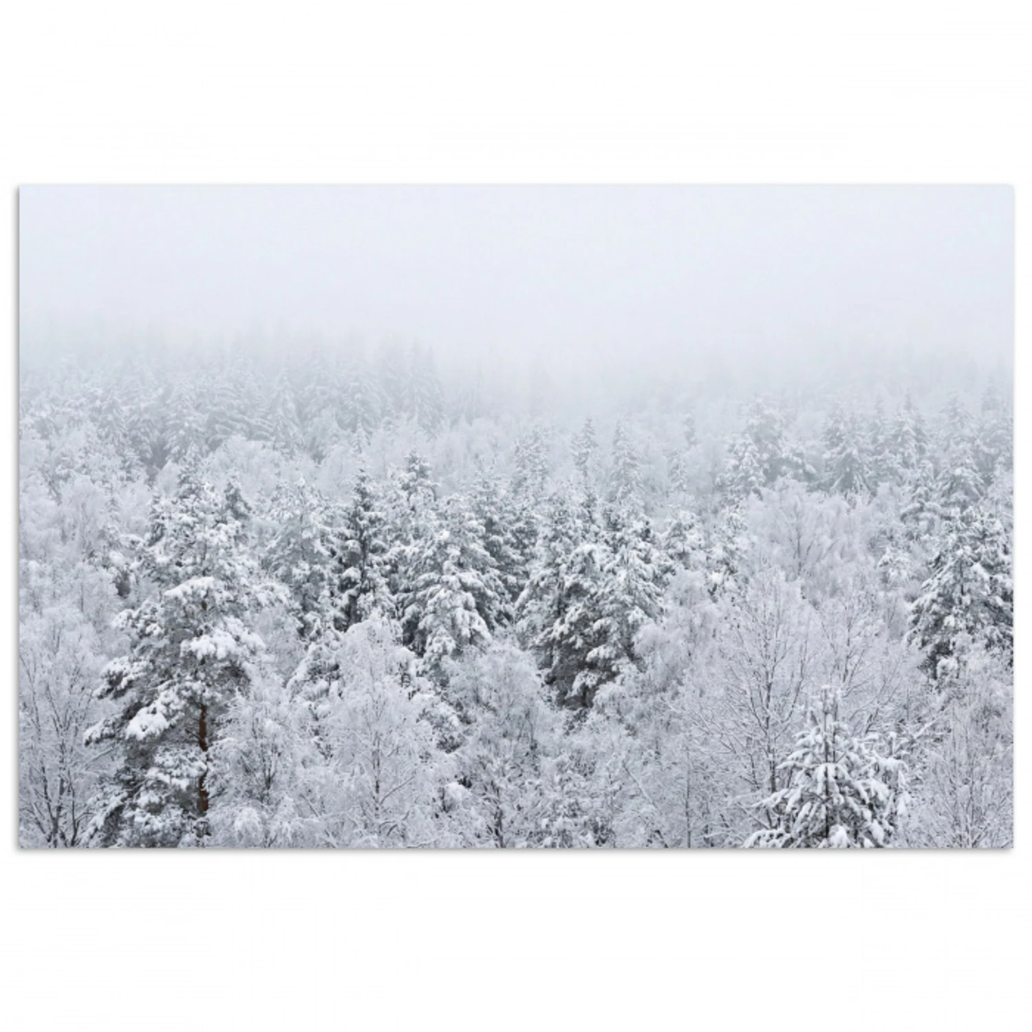 Bos - Sneeuw - Winter - Natuur - Wit poster papier klein -3d
