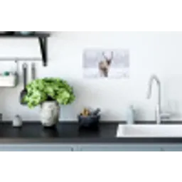 Rendier - Gewei - Toendra - Sneeuw - Wild Muursticker klein -keuken