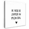 Ik heb de zomer in mijn bol - André Hazes - Spreuken - Quotes Tuinposter op houten frame 2 cm dik klein -3d