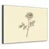 Illustratie - Zwart - Roos Textielframe zwart klein -3d