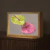 Planten - Anthurium - Groen - Roze Light Box met kabel (Tafellamp) klein -z3d_website