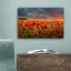 Zonsondergang - Klaprozen - Rood - Bloemen - Veld - Natuur canvas 2cm klein -sfeer4