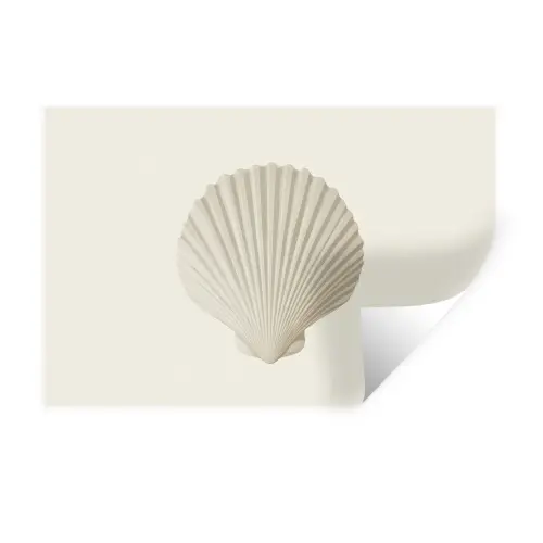 Schelp - Minimalistisch - Wit Muursticker klein -3d