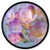 Bloemen - Paars - Overloop - Meeldraden Fotolijst rond zonder passe partout klein -3d