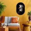 Arend -Amerika - Koksmuts - Vogel - Stoer Wandcirkel Ovaal Forex klein -sfeer4