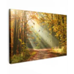 Bos - Bomen - Herfst - Zon - Herfstbladeren - Natuur Tuinposter op houten frame 2 cm dik klein -3d