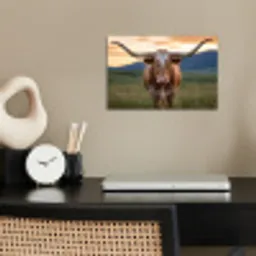 Longhorn - Landschap - Zonsondergang poster papier klein -sfeer1
