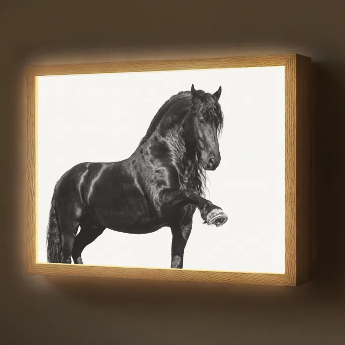 Fries - Hengst - Modern Light Box met batterij (Wandlamp) middel -z3d_website