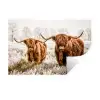 Schotse hooglander - Koe - Dieren - Natuur - Heide Muursticker klein -3d
