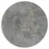 Stenen - Beton - Patronen Wandcirkel plexiglas klein 852 -3d