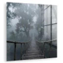 Brug - Jungle - Mist - Natuur plexiglas 5mm klein -zzzproduct_nieuw