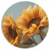 Zonnebloemen - Geel - Wazig Wandcirkel kunststof plaat 5mm dik klein -3d
