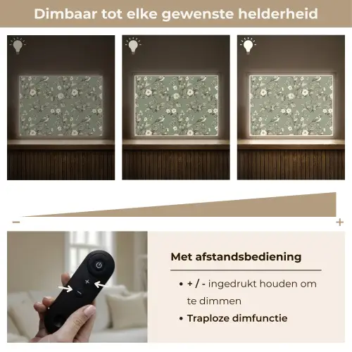 Botanisch - Vogels - Groen Light Box met batterij (Wandlamp) middel 907 -USP_dimbaarNL