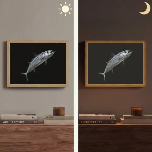 Makreel - Vis - Zwart Light Box met batterij (Wandlamp) middel -sfeer3