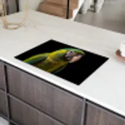 Ara - Portret - Groen Inductie beschermer vinyl 3mm klein -sfeer8