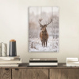 Edelhert - Bos - Sneeuw - Winter - Majestueus plexiglas 5mm klein -sfeer1