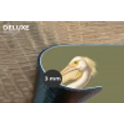 Pelikaan - Wit - Vogel - Klassiek - Natuur Placemat vinyl groot -closeup