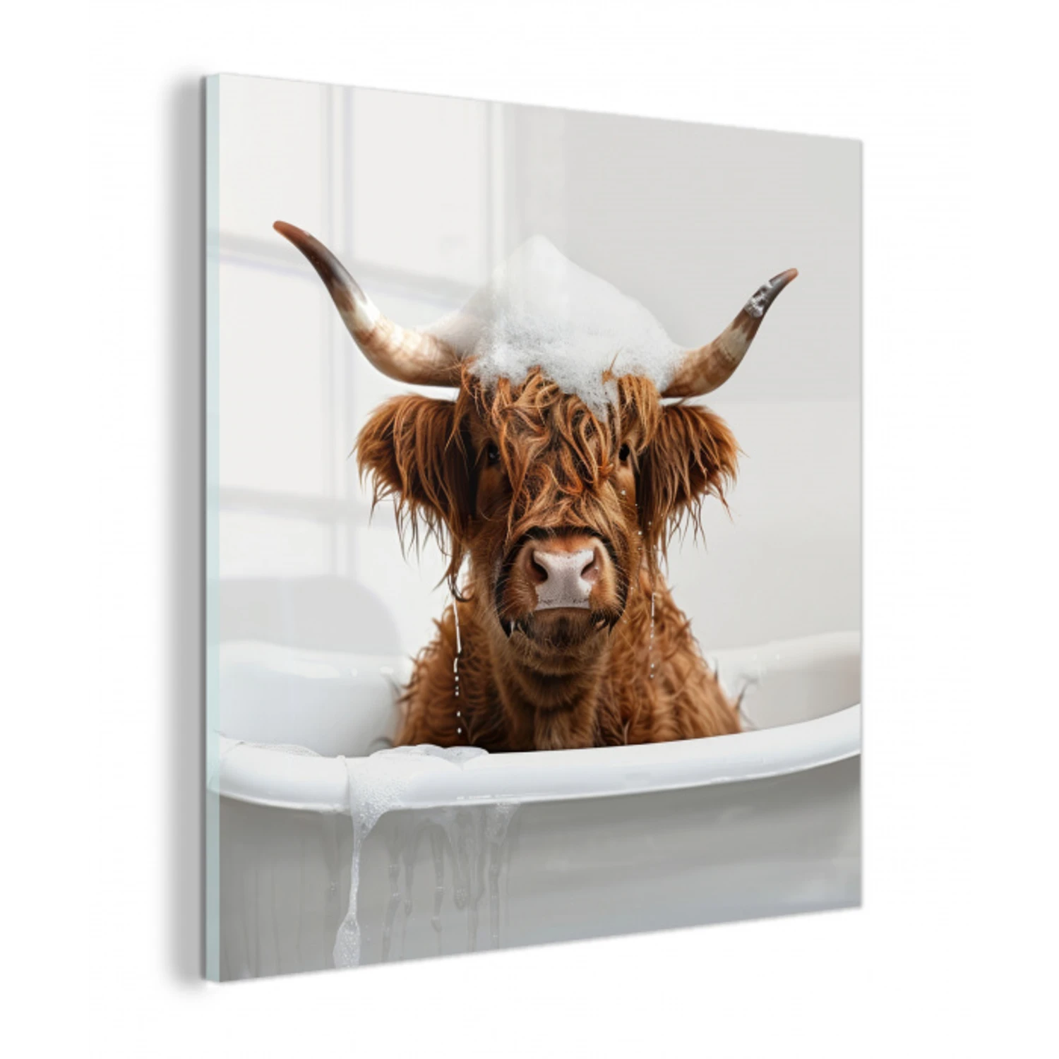 Schotse Hooglander - Bad - Koe - Dieren - Schuim plexiglas 5mm klein -z3d