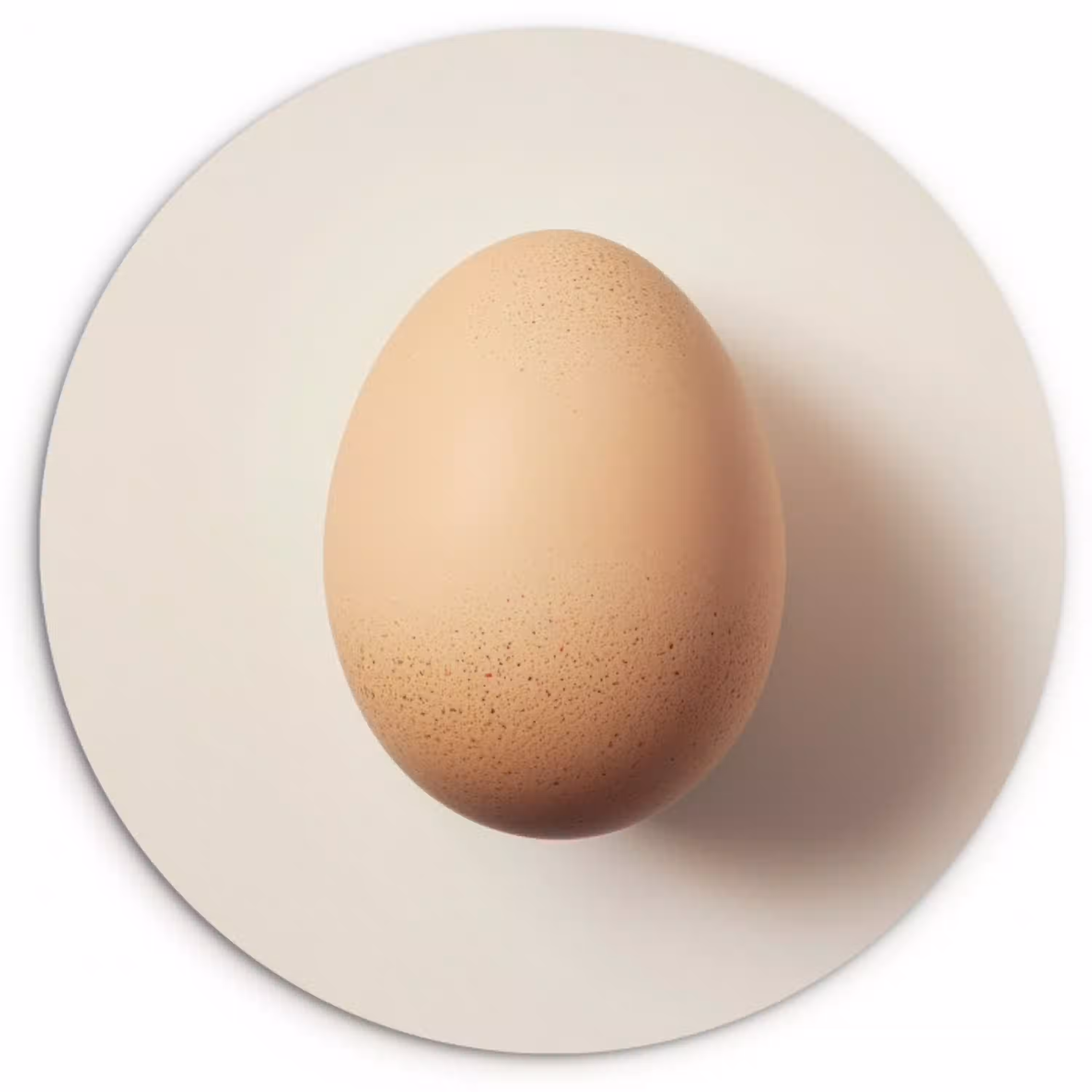 Ei - Beige - Ovaal - Egaal Wandcirkel kunststof plaat 5mm dik klein -3d