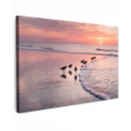 Meeuwen - Strand - Zee - Roze canvas 2cm klein -z3d