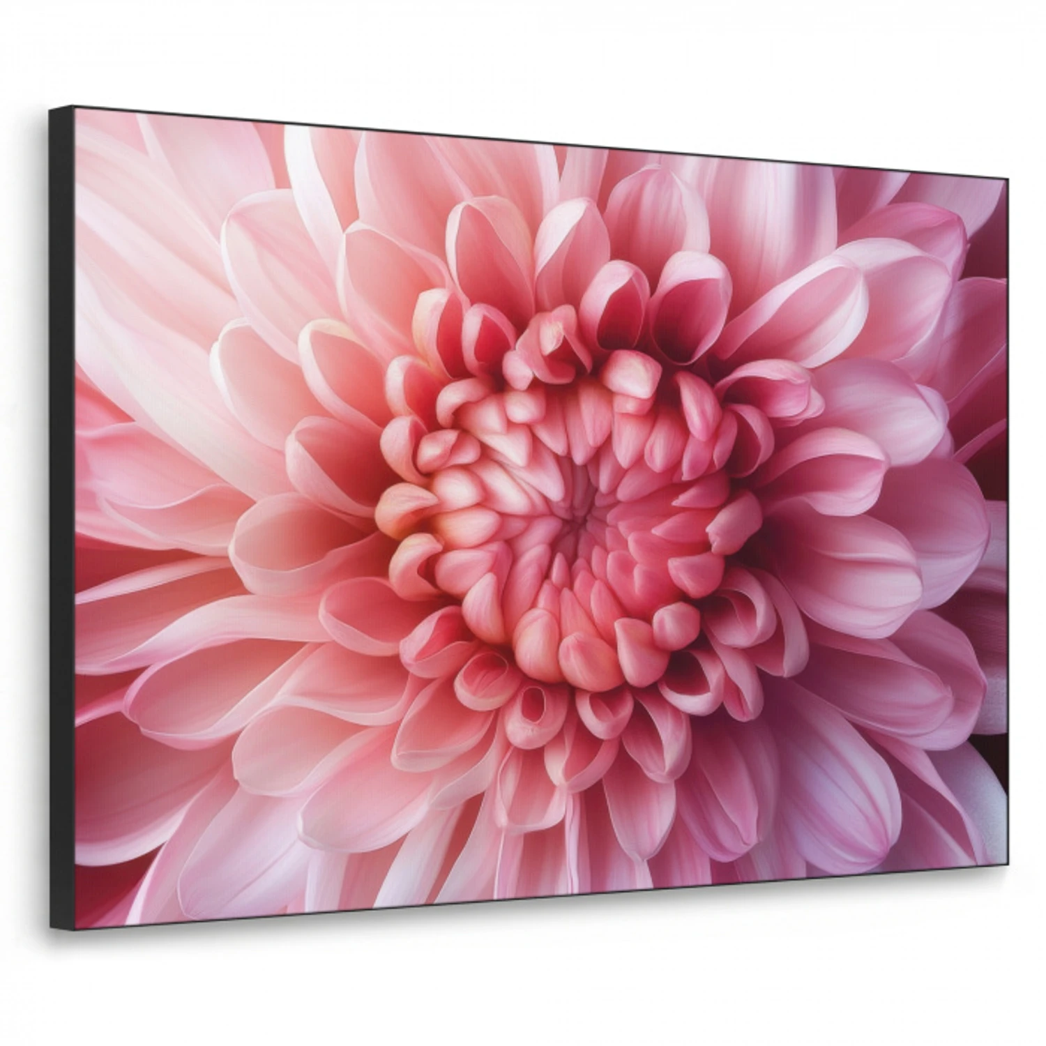 Dahlia - Bloem - Close up - Roze Textielframe zwart klein -3d